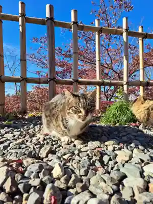 唐澤山神社(栃木県)