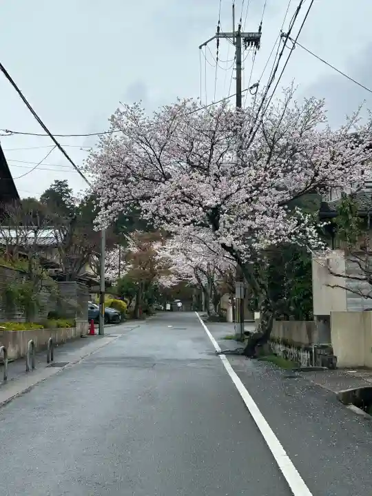 毘沙門堂門跡の{uncategorized: "未分類", other: "その他", undefined: "問題あり", building: "その他建物", grave: "お墓", sacred_gate: "鳥居", guardian: "狛犬", statue: "像", buddha: "仏像", history: "歴史", nature: "自然", garden: "庭園", animal: "動物", pagoda: "塔", temizu: "手水舎", mountain_gate: "山門・神門", sanctuary: "本殿・本堂", subordinate: "末社・摂社", art: "芸術", scenery: "景色", jizo: "地蔵", ema: "絵馬", goshuin: "御朱印", omikuji: "おみくじ", items: "授与品その他", amulet: "お守り", goshuincho: "御朱印帳", eats: "食事", festival: "お祭り", votive_dance: "神楽", shichigosan: "七五三参", wedding: "結婚式", experience: "体験その他", initially: "初詣", around: "周辺", anti_infection: "感染症対策"}