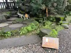 川越氷川神社(埼玉県)