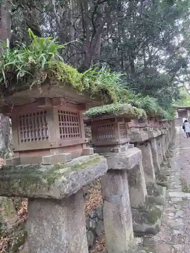 春日大社(奈良県)