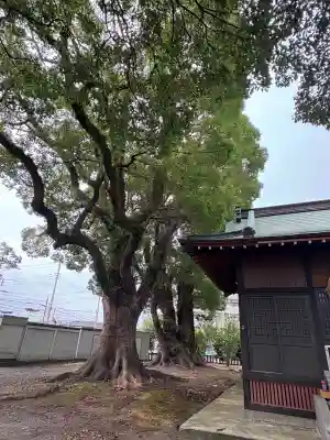 八幡神社(静岡県)