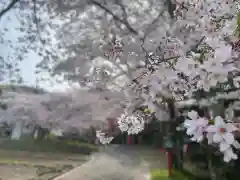 畝火山口神社(奈良県)