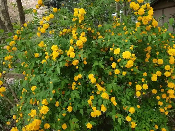 三渓園天満宮(神奈川県)