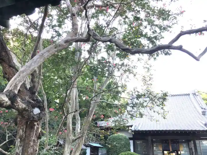 法泉寺のその他建物