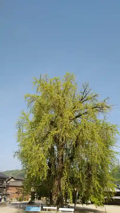 吉備津神社の自然