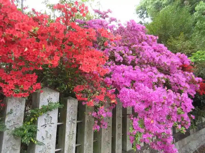 向日神社の自然