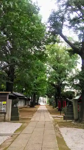 駒込天祖神社の庭園