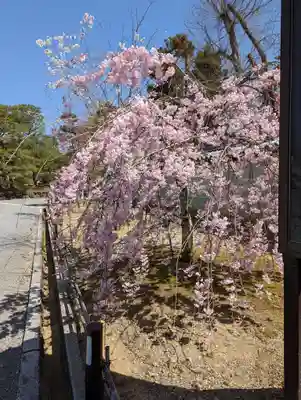 仁和寺(京都府)