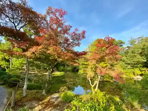 等持院の庭園