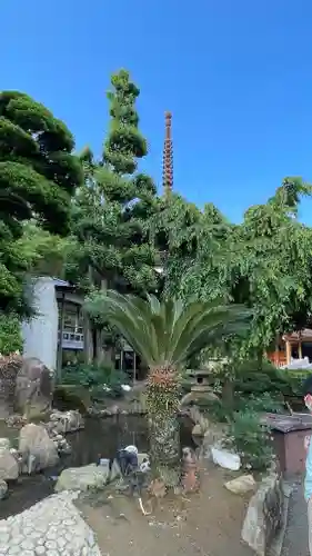 楽法寺（雨引観音）の自然