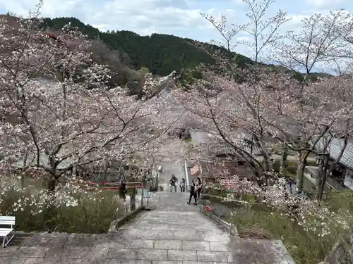 南法華寺（壷阪寺）(奈良県)