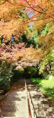 木幡山隠津島神社(二本松市)の周辺