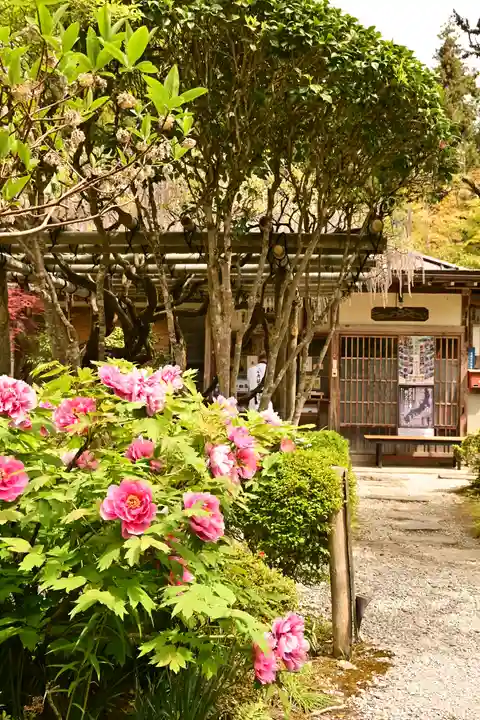 法雲寺(埼玉県)