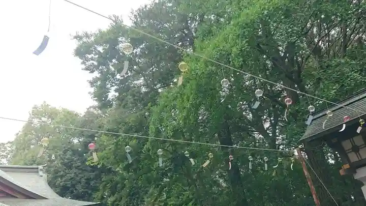 世田谷八幡宮(東京都)