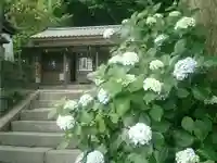 五所神社の本殿・本堂