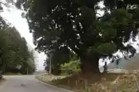 御札神社の周辺