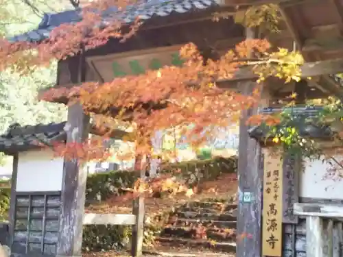 高源寺の山門・神門