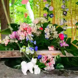 彌彦神社 (伊夜日子神社)の手水舎(2024年06月03日(月) 09時03分25秒投稿)