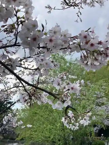 旗上弁財天社の自然