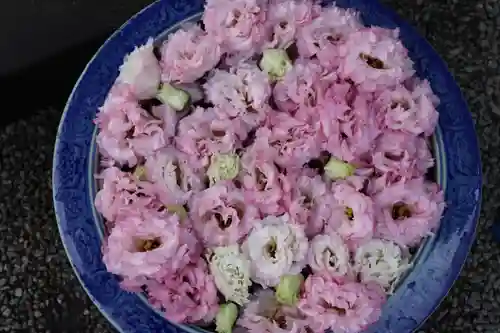 上尾御嶽神社の手水舎