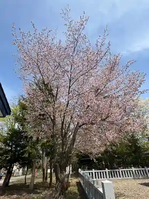 永山神社(北海道)