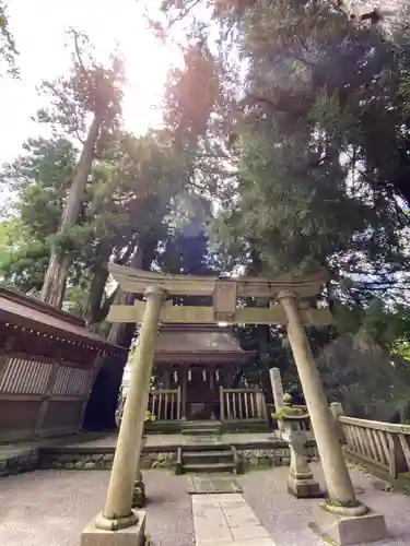 白山比咩神社の鳥居