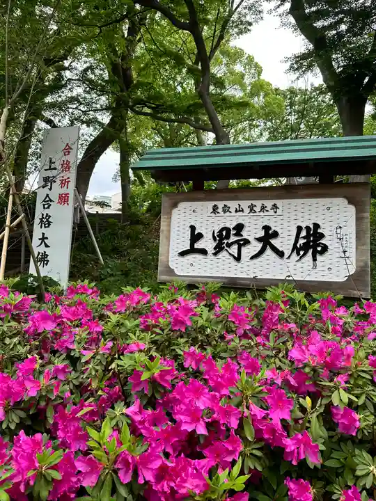 上野大佛(東京都)