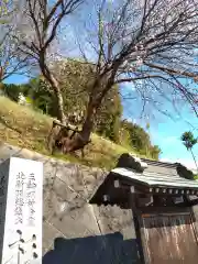 北新羽杉山神社の自然