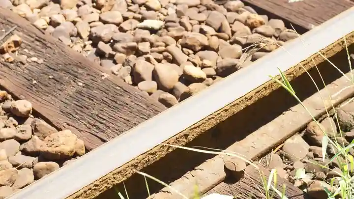 今宮戎神社(大阪府)