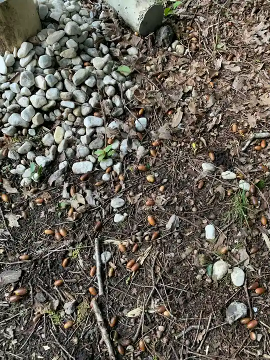 民草神社の自然