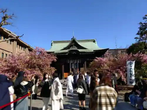 桜神宮の{uncategorized: "未分類", other: "その他", undefined: "問題あり", building: "その他建物", grave: "お墓", sacred_gate: "鳥居", guardian: "狛犬", statue: "像", buddha: "仏像", history: "歴史", nature: "自然", garden: "庭園", animal: "動物", pagoda: "塔", temizu: "手水舎", mountain_gate: "山門・神門", sanctuary: "本殿・本堂", subordinate: "末社・摂社", art: "芸術", scenery: "景色", jizo: "地蔵", ema: "絵馬", goshuin: "御朱印", omikuji: "おみくじ", items: "授与品その他", amulet: "お守り", goshuincho: "御朱印帳", eats: "食事", festival: "お祭り", votive_dance: "神楽", shichigosan: "七五三参", wedding: "結婚式", experience: "体験その他", initially: "初詣", around: "周辺", anti_infection: "感染症対策"}
