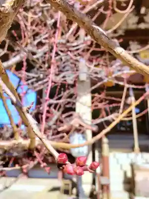 諏訪神社(東京都)