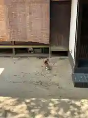 長福寺の動物