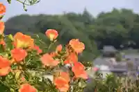 三春大神宮の景色