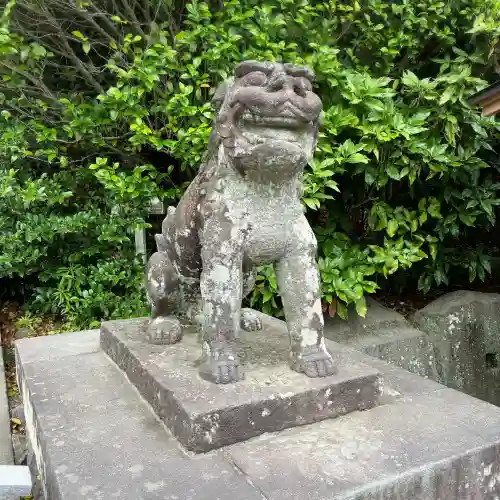 鶴岡八幡宮の狛犬