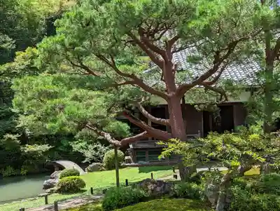 青蓮院門跡(京都府)