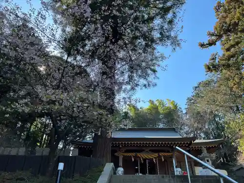 中氷川神社(埼玉県)