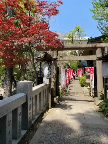 花園稲荷神社の鳥居