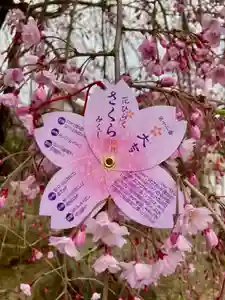 多治速比売神社(大阪府)(2024年04月07日(日) 02時26分46秒投稿)