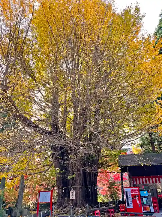 山寺日枝神社(山形県)