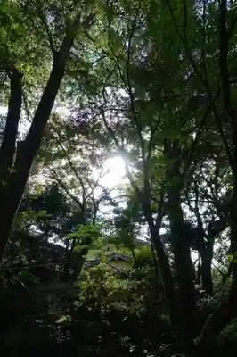 興正寺別院（本山興正寺霊山本廟）のその他建物