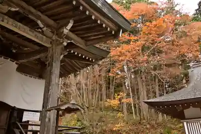 戸隠神社中社の本殿・本堂
