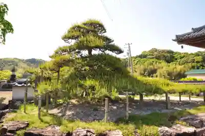 種間寺(高知県)