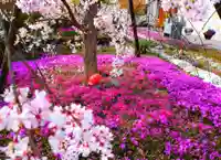 寿量山 速成寺の自然