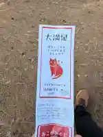 猫神社の{uncategorized: "未分類", other: "その他", undefined: "問題あり", building: "その他建物", grave: "お墓", sacred_gate: "鳥居", guardian: "狛犬", statue: "像", buddha: "仏像", history: "歴史", nature: "自然", garden: "庭園", animal: "動物", pagoda: "塔", temizu: "手水舎", mountain_gate: "山門・神門", sanctuary: "本殿・本堂", subordinate: "末社・摂社", art: "芸術", scenery: "景色", jizo: "地蔵", ema: "絵馬", goshuin: "御朱印", omikuji: "おみくじ", items: "授与品その他", amulet: "お守り", goshuincho: "御朱印帳", eats: "食事", festival: "お祭り", votive_dance: "神楽", shichigosan: "七五三参", wedding: "結婚式", experience: "体験その他", initially: "初詣", around: "周辺", anti_infection: "感染症対策"}