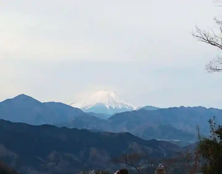 高尾山薬王院の景色