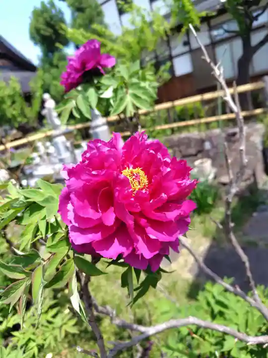 正泉寺(神奈川県)