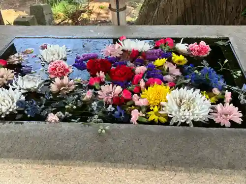 糀谷八幡宮の{uncategorized: "未分類", other: "その他", undefined: "問題あり", building: "その他建物", grave: "お墓", sacred_gate: "鳥居", guardian: "狛犬", statue: "像", buddha: "仏像", history: "歴史", nature: "自然", garden: "庭園", animal: "動物", pagoda: "塔", temizu: "手水舎", mountain_gate: "山門・神門", sanctuary: "本殿・本堂", subordinate: "末社・摂社", art: "芸術", scenery: "景色", jizo: "地蔵", ema: "絵馬", goshuin: "御朱印", omikuji: "おみくじ", items: "授与品その他", amulet: "お守り", goshuincho: "御朱印帳", eats: "食事", festival: "お祭り", votive_dance: "神楽", shichigosan: "七五三参", wedding: "結婚式", experience: "体験その他", initially: "初詣", around: "周辺", anti_infection: "感染症対策"}