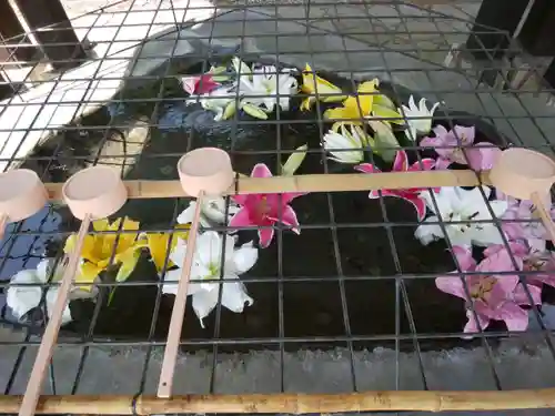 白老八幡神社(北海道)