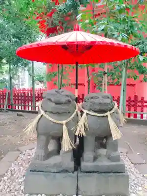 浅草神社の狛犬